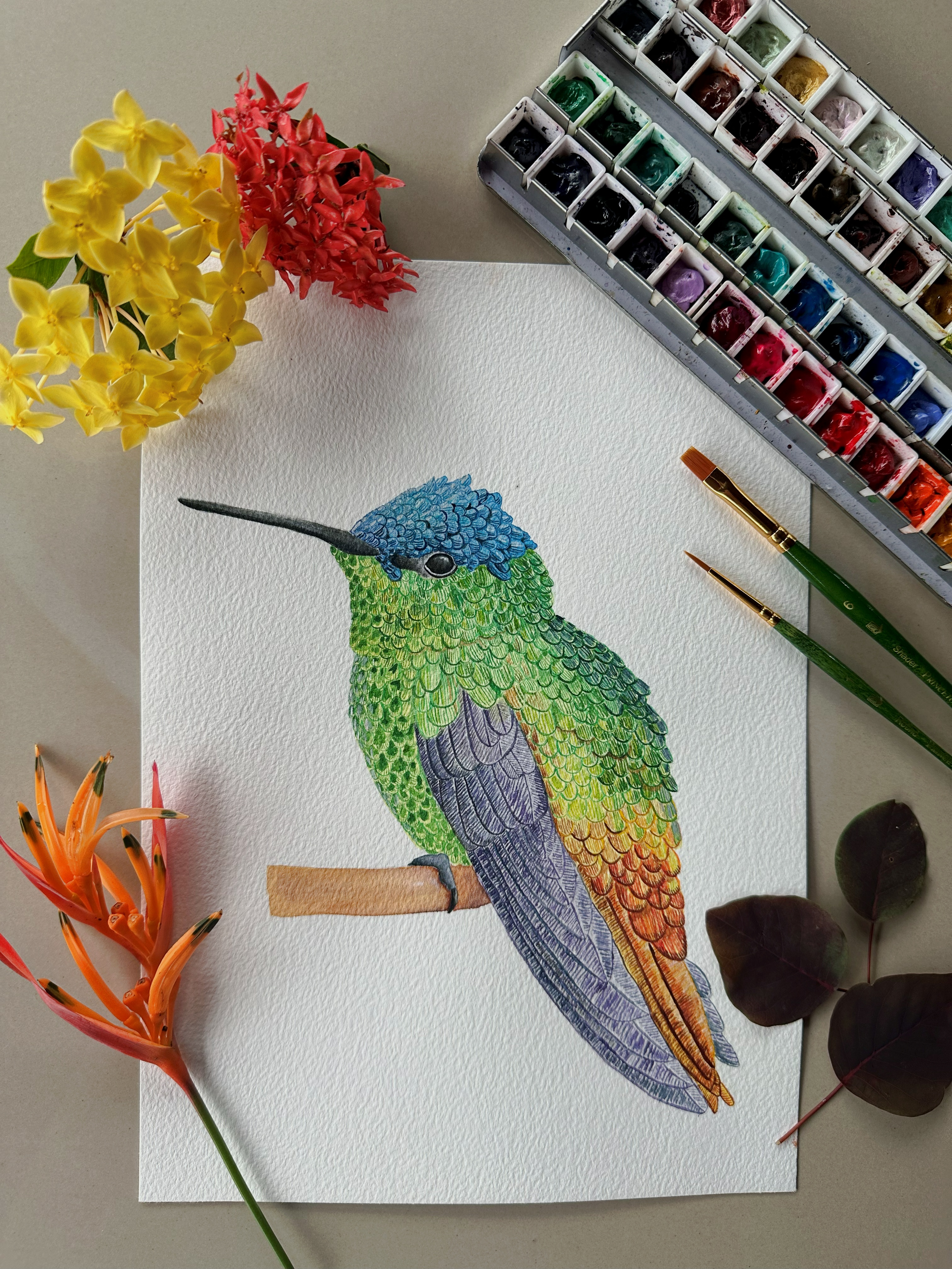 Sabidur&iacute;a Nocturna